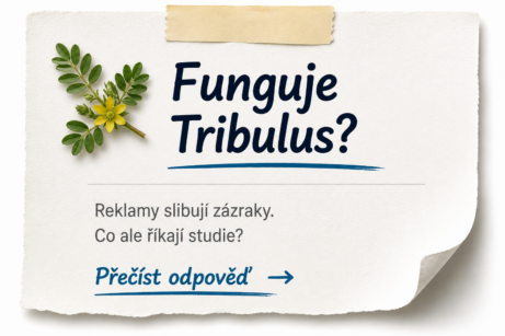 Funguje Tribulus? Odpověď v&nbsp;seriálu Mužská vitalita