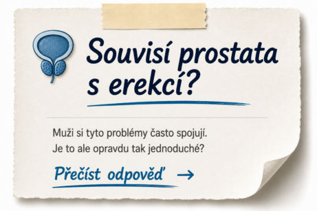 Souvisí prostata s&nbsp;erekcí? Odpověď v&nbsp;seriálu Mužská vitalita