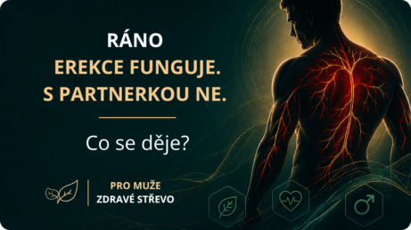 Ráno erekce funguje, s&nbsp;partnerkou ne – odpověď v&nbsp;Mužské vitalitě