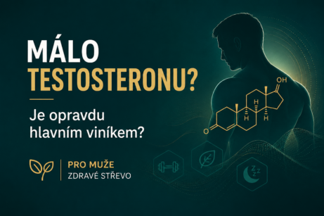Málo testosteronu? Je opravdu hlavním viníkem mužských potíží?